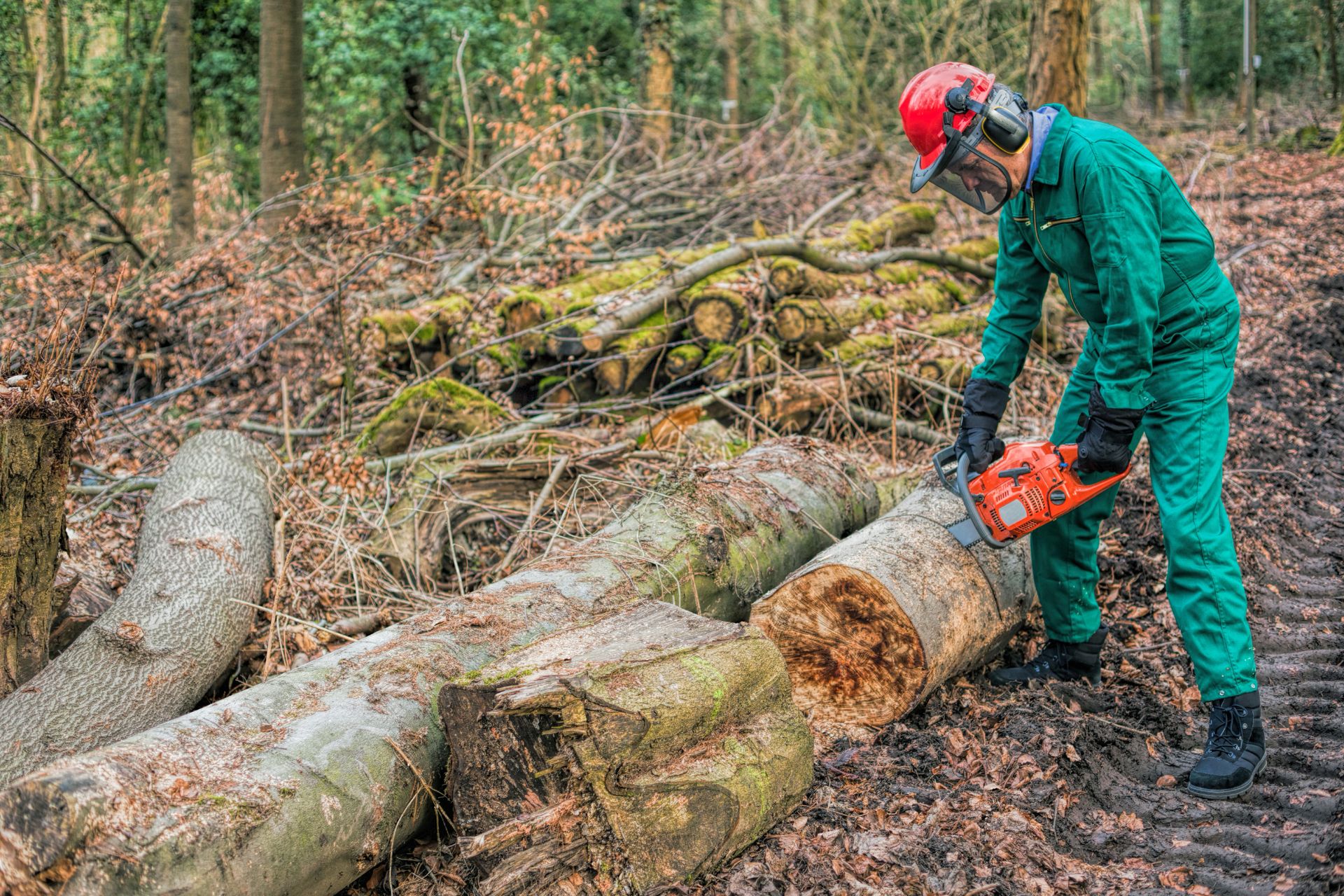 Nabava šumarske prikolice i malčera